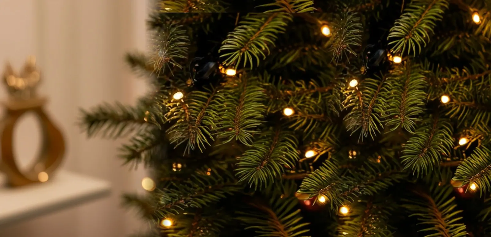 A lit Christmas tree beside a cream wall, with an empty hook where an ornament will hang